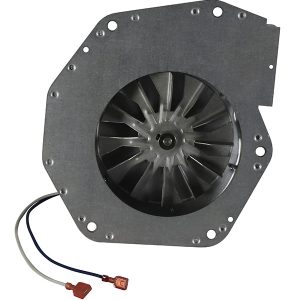 Blower - Combustion Assembly